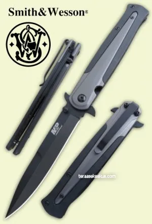 Smith & Wesson M&P Stinger