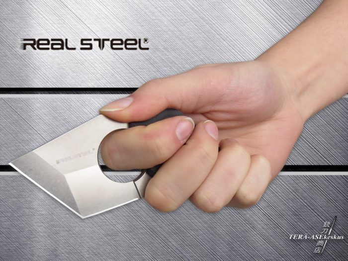 Real Steel Black Cat G-10 - Image 3