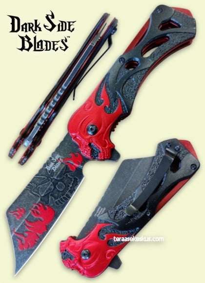 Dark Side Blades HellRazor A/O folding knife