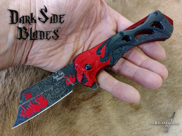 Dark Side Blades HellRazor A/O folding knife